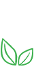 颜色亮丽